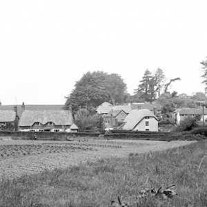 Allotments at The Green towards Fox and Hounds