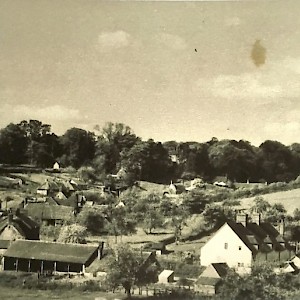 Milton towards Hill Cottage