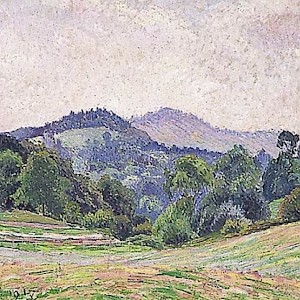 Hayfields